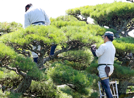 一緒に働く職人大募集