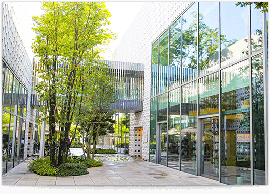 樹木伐採から街路樹管理、芝のお手入れも承ります